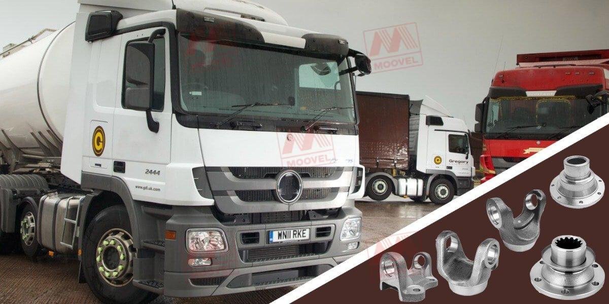 IMG-0106-min IMG-0106-min